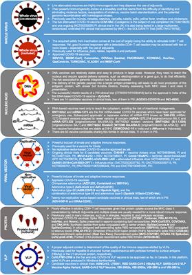 T-cell immunity to SARS-CoV-2: what if the known best is not the optimal course for the long run? Adapting to evolving targets